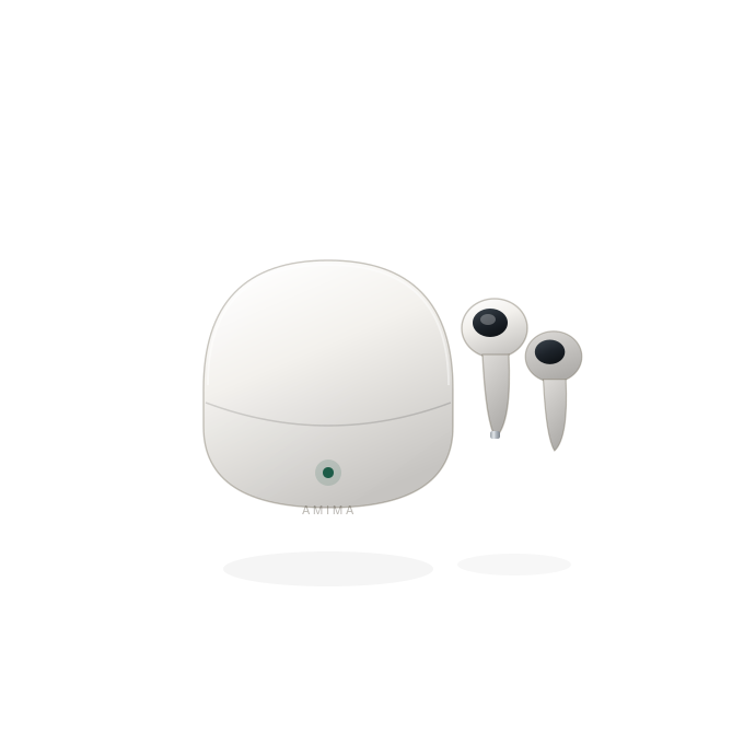 Wireless Earbuds with Charging Case