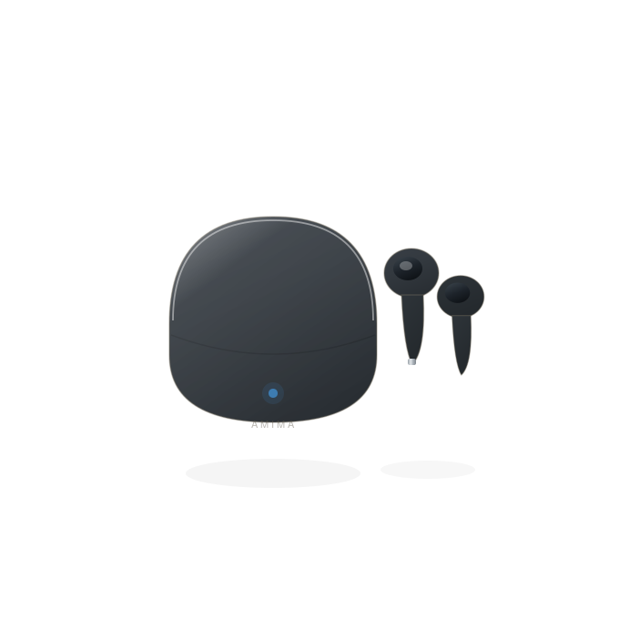 Wireless Earbuds, Graphite